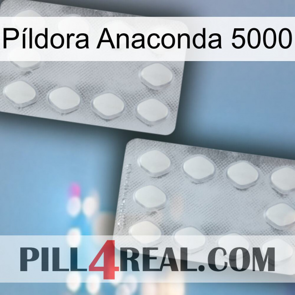 Píldora Anaconda 5000 17.jpg